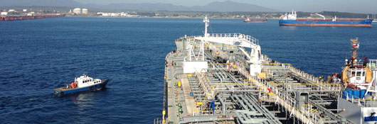 Servicios y consultorías